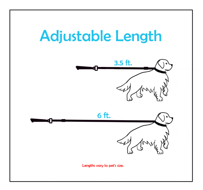 LassOleash™ 1" Adjustable - Image 3