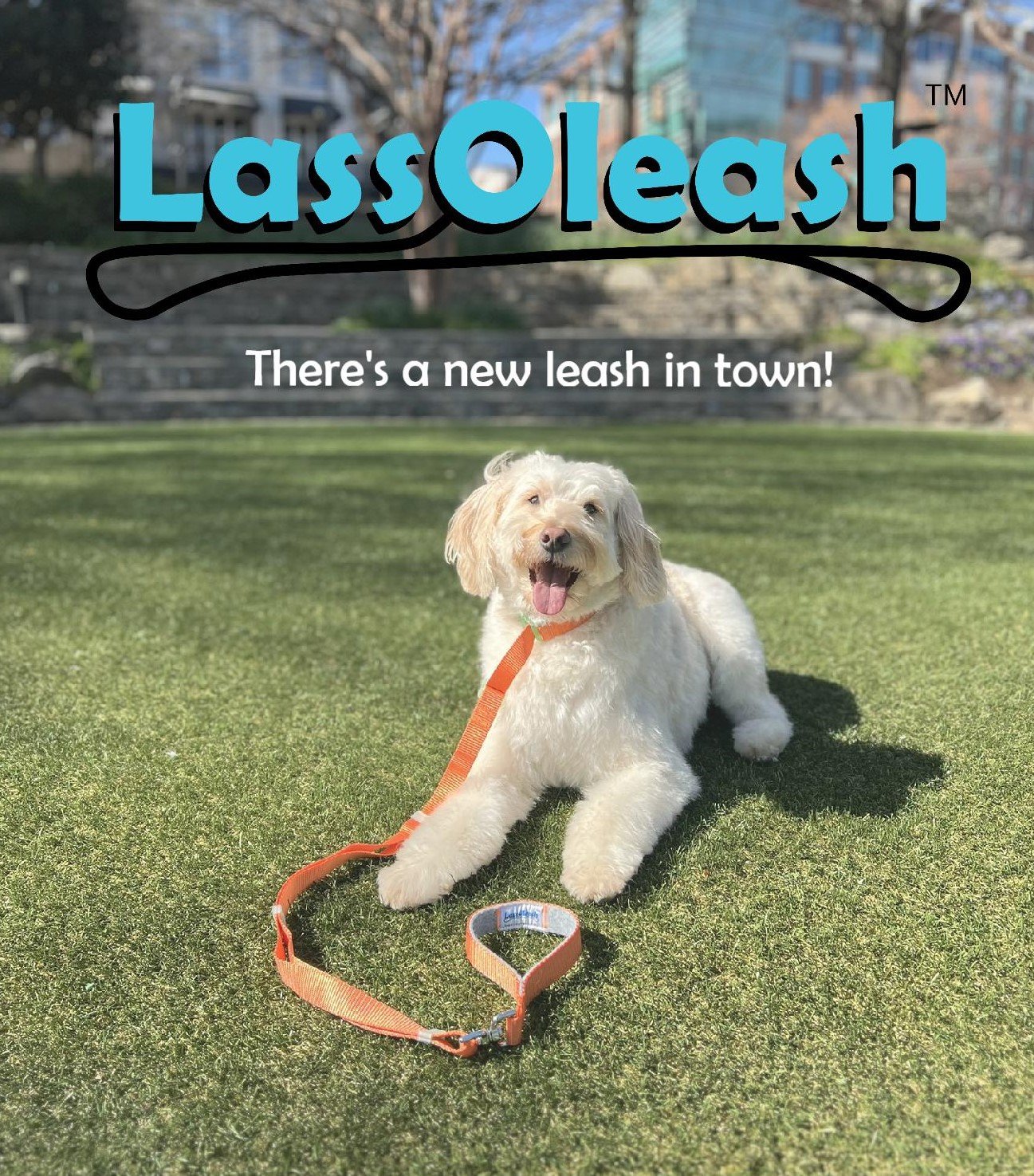 LassOleash™ 1" Adjustable