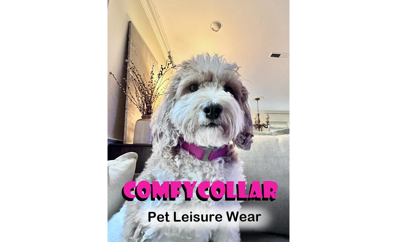 COMFYCOLLAR